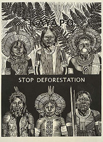 Kayapo, Stop Deforestation